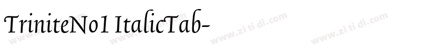 TriniteNo1 ItalicTab字体转换 TriniteNo1 ItalicTab字体转换